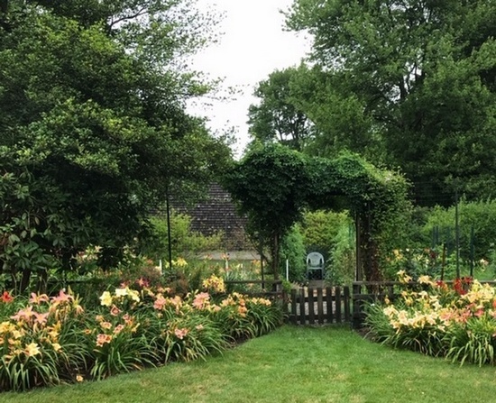 THROUGH THE GARDEN GATE - photo by Janet Tooker